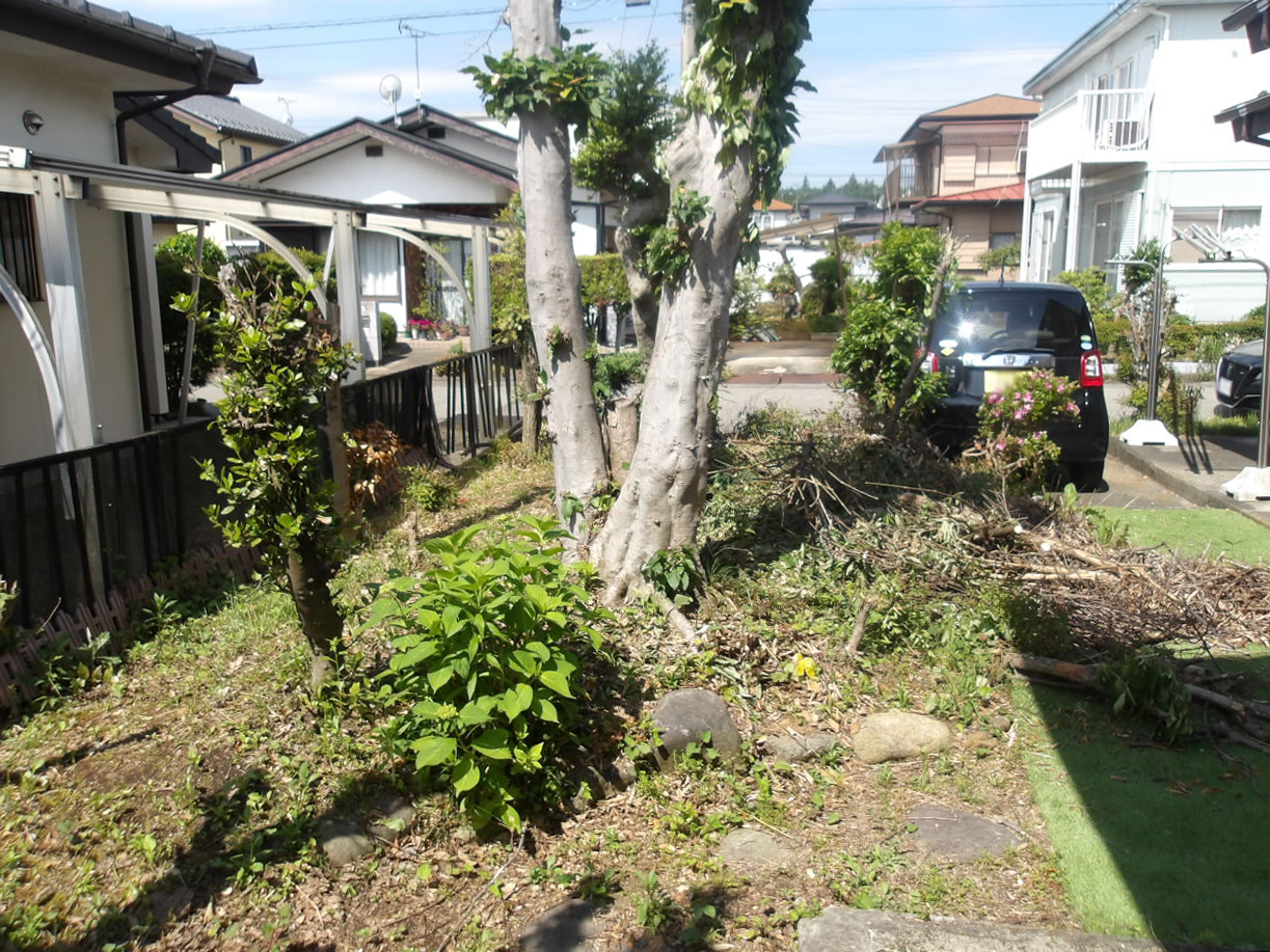 Before image