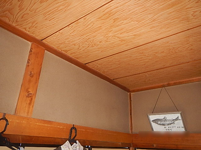 Before image