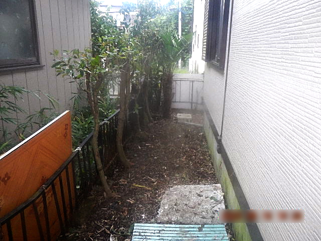After image