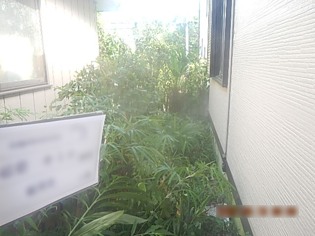 Before image