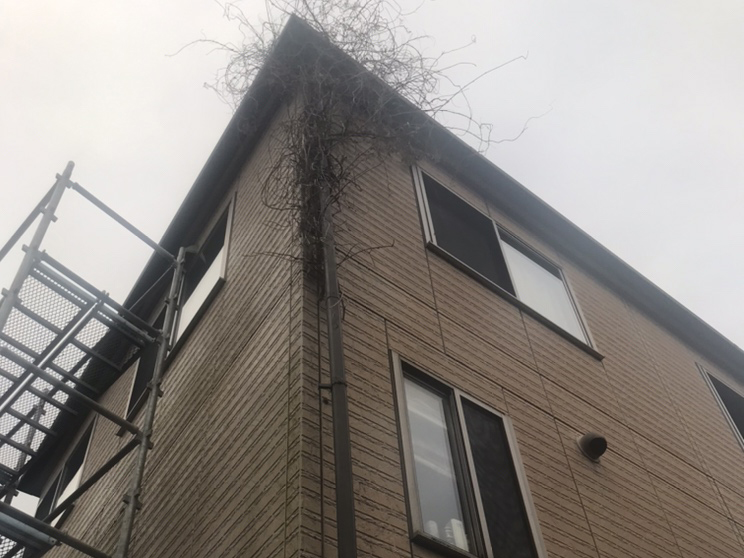Before image