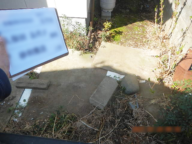 Before image