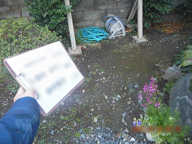 Before image